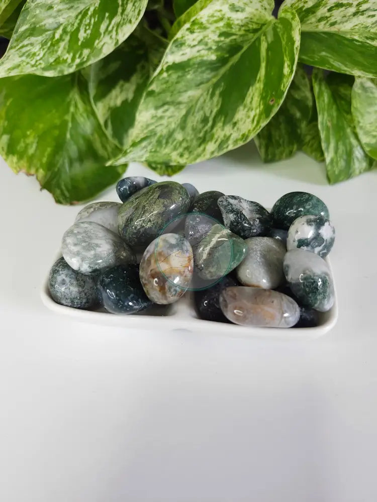 MOSS AGATE TUMBLED STONE - TUMBLED STONES