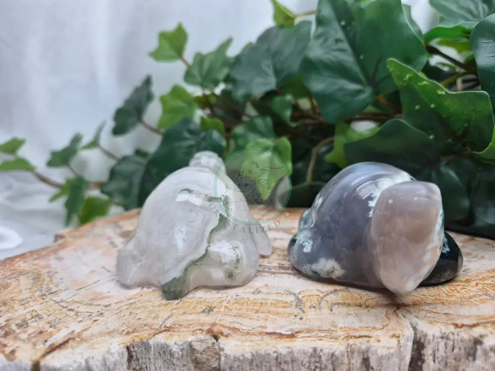 MOSS AGATE TURTLE