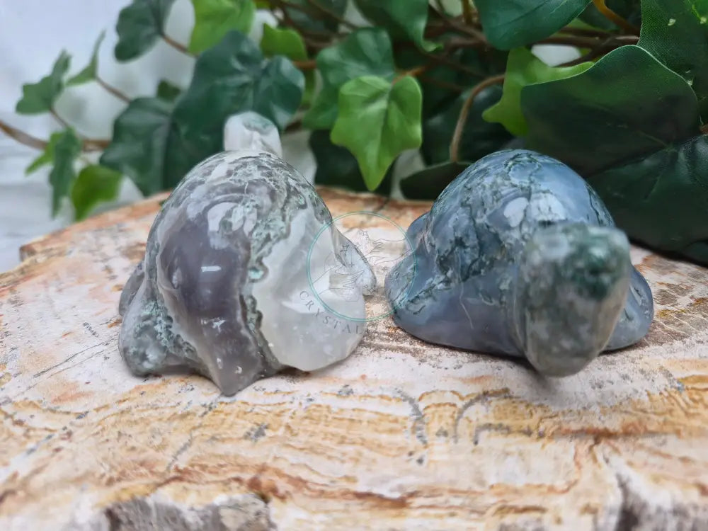 MOSS AGATE TURTLE