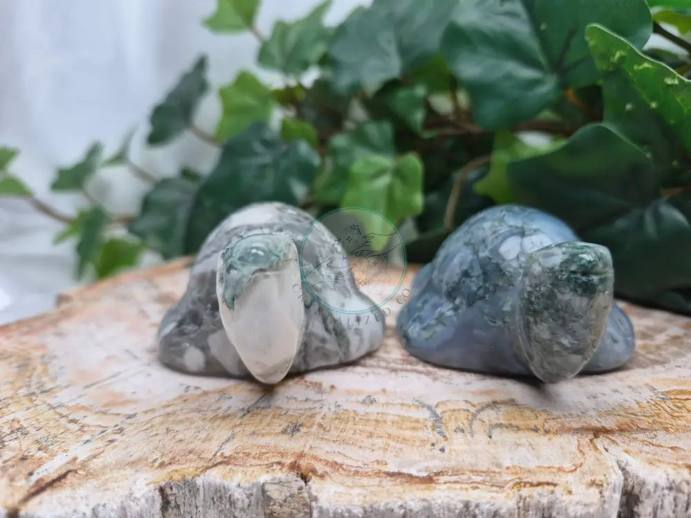 MOSS AGATE TURTLE