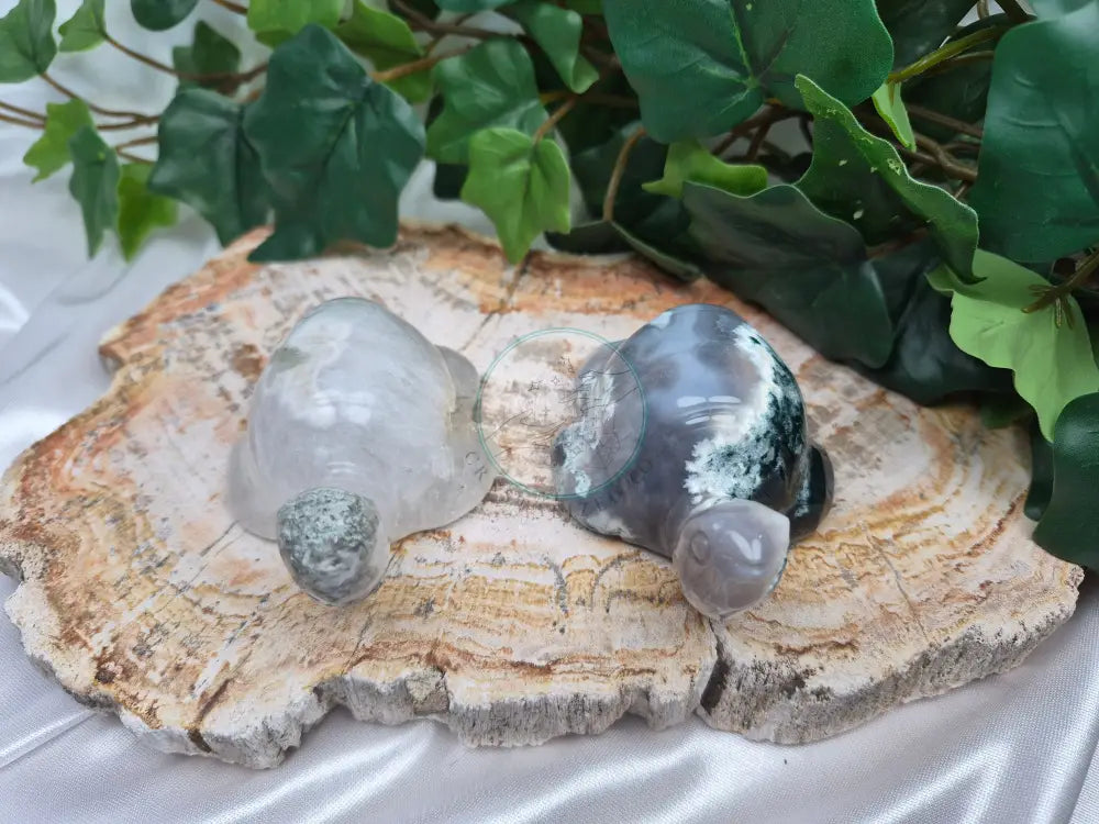 MOSS AGATE TURTLE