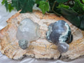 MOSS AGATE TURTLE