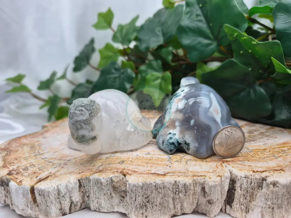 MOSS AGATE TURTLE