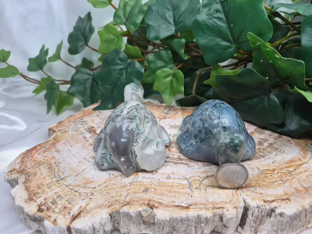 MOSS AGATE TURTLE