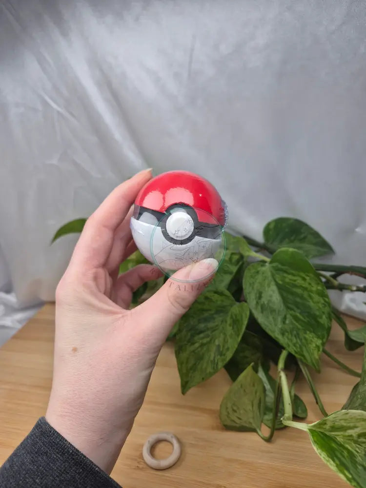 MYSTERY POKEBALL