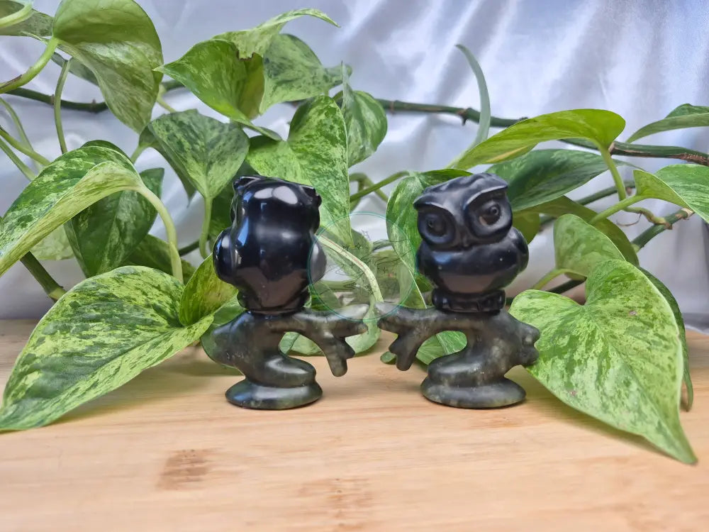 OBSIDIAN AND JADE OWL
