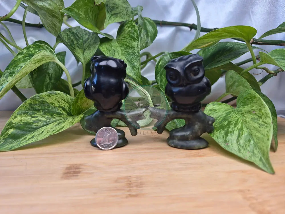 OBSIDIAN AND JADE OWL
