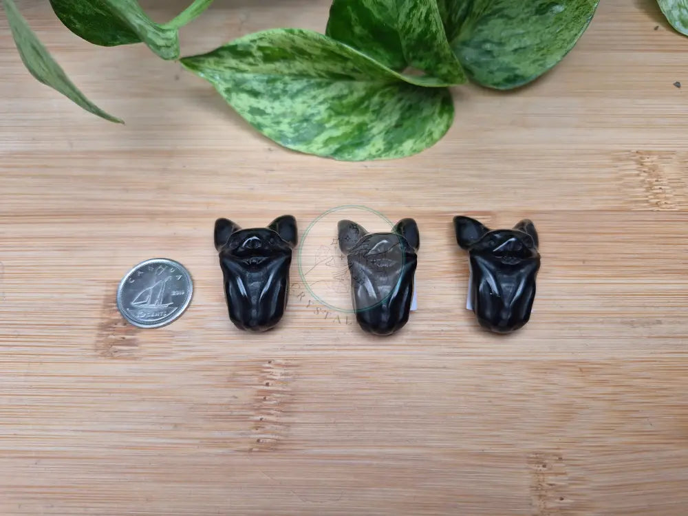OBSIDIAN BAT