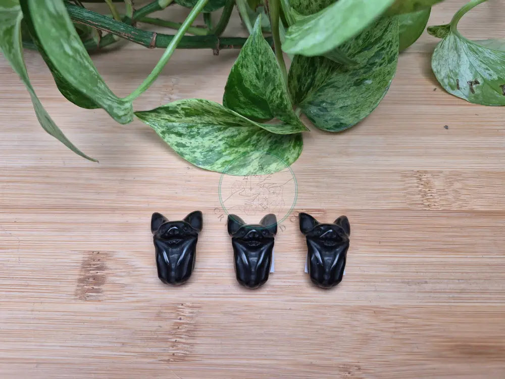 OBSIDIAN BAT