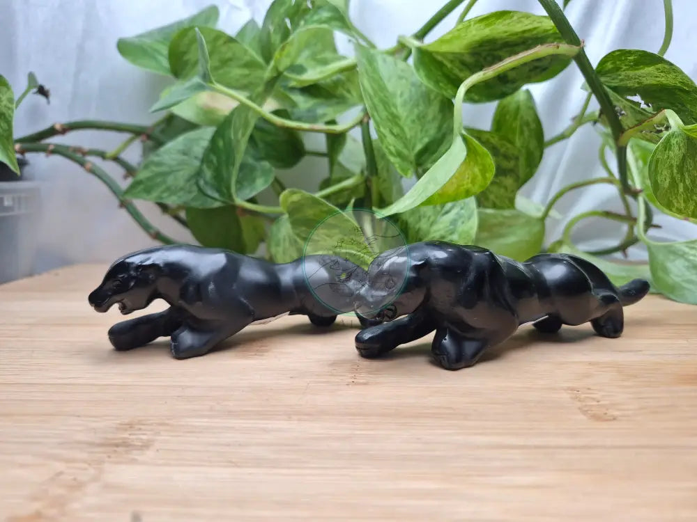 OBSIDIAN BLACK PANTHER