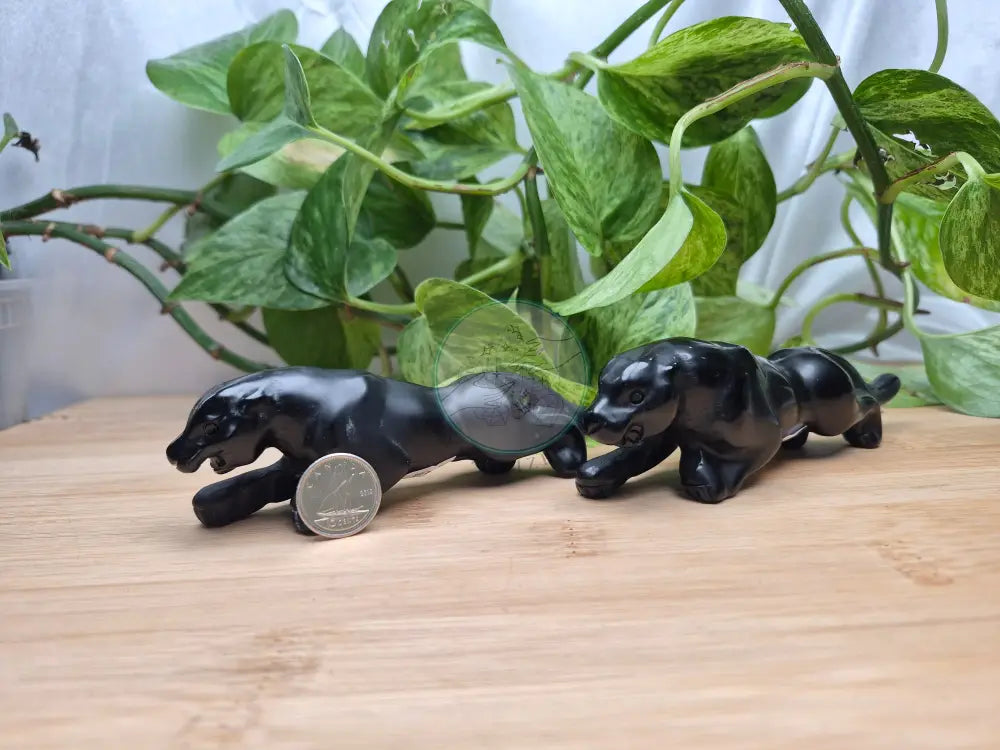 OBSIDIAN BLACK PANTHER