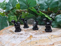 OBSIDIAN BUNEARY