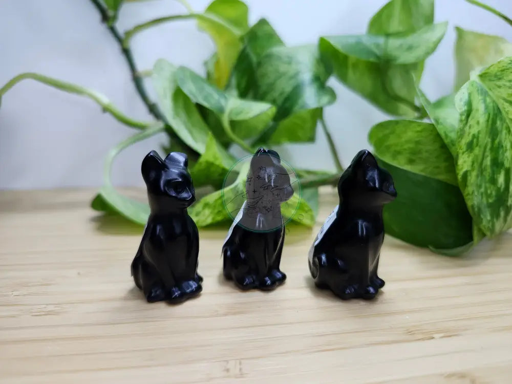 OBSIDIAN CAT