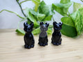 OBSIDIAN CAT