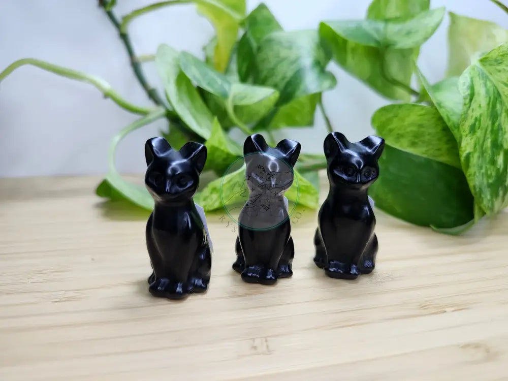 OBSIDIAN CAT