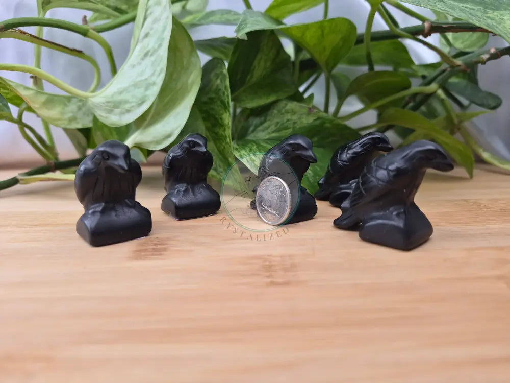 OBSIDIAN CROW