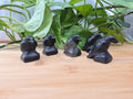OBSIDIAN CROW