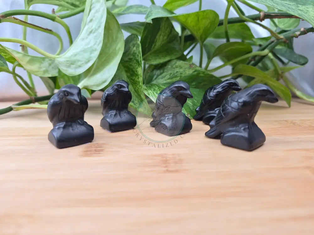 OBSIDIAN CROW