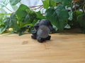 OBSIDIAN CYNDAQUIL