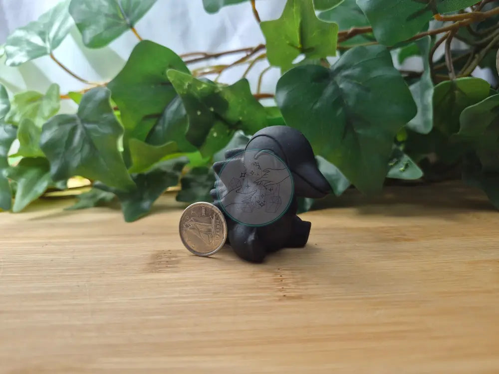 OBSIDIAN CYNDAQUIL