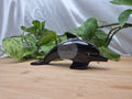 OBSIDIAN DOLPHIN