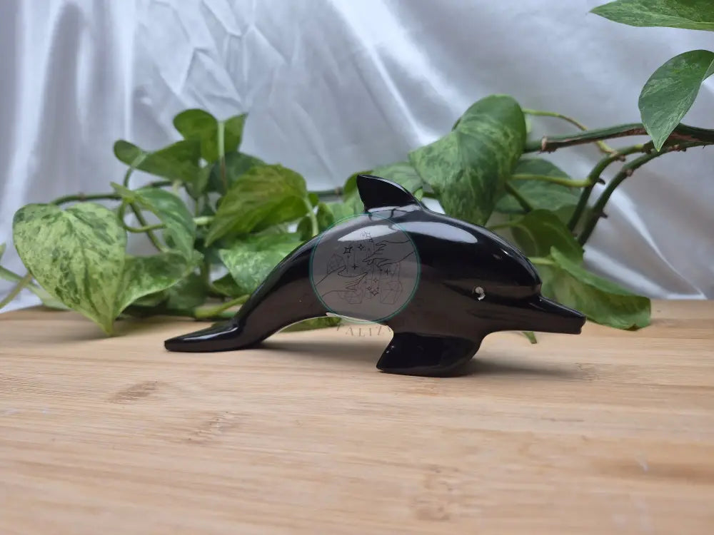 OBSIDIAN DOLPHIN