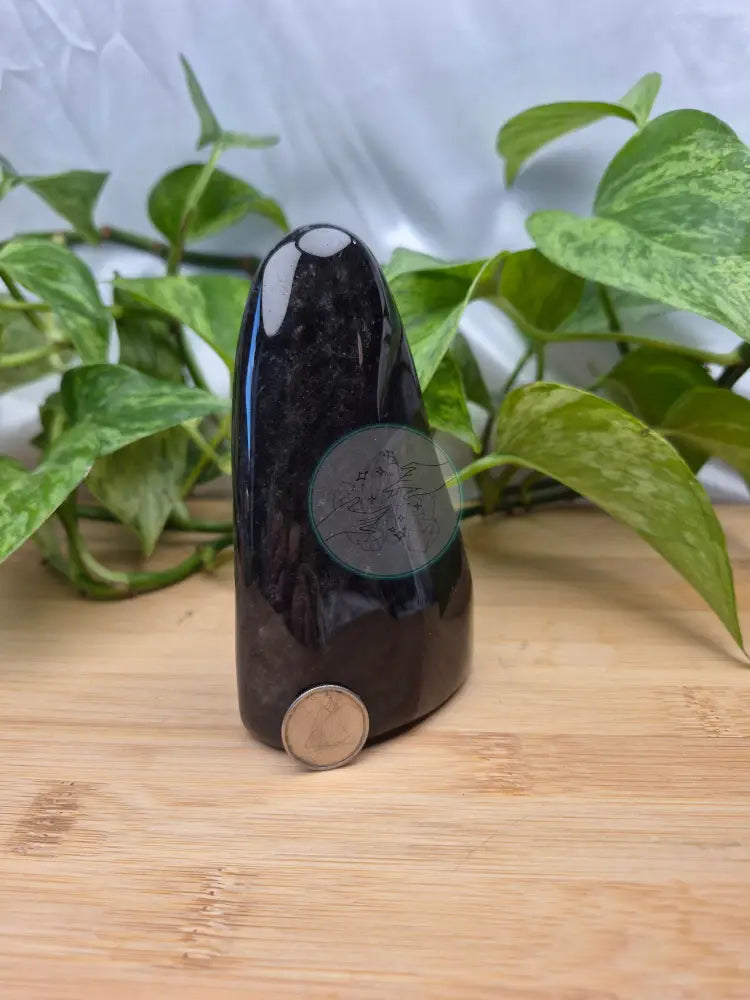 OBSIDIAN FREEFORM