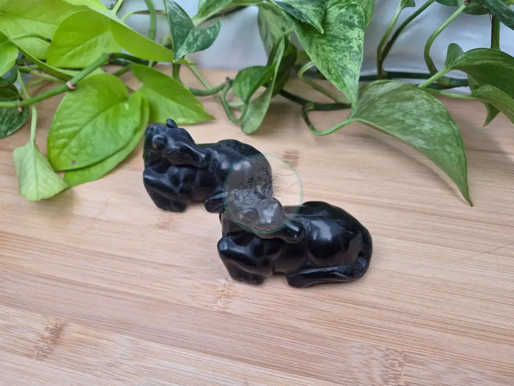 OBSIDIAN HORSE