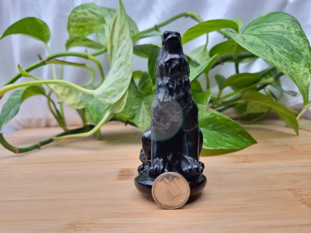 OBSIDIAN HOWLING WOLF