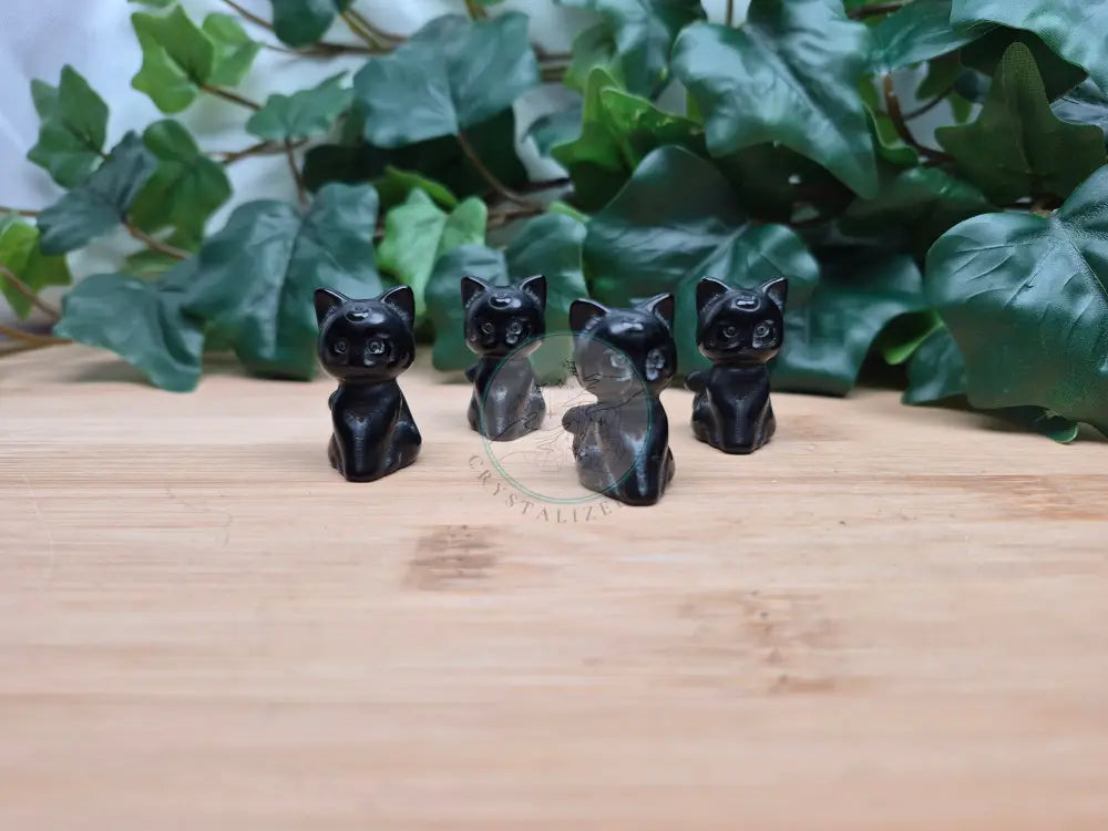 OBSIDIAN LUNA CAT