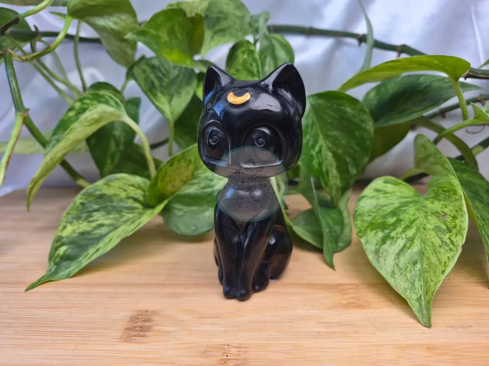 OBSIDIAN LUNA CAT