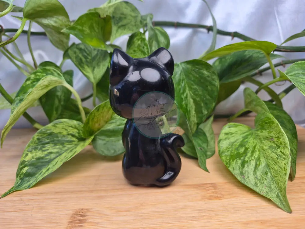 OBSIDIAN LUNA CAT