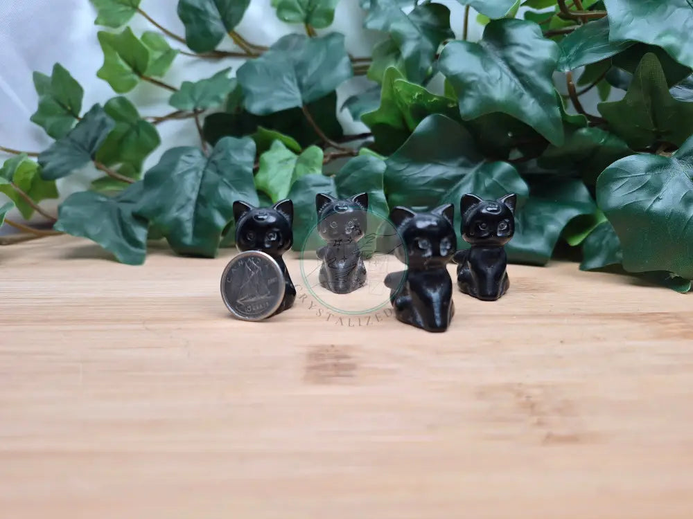 OBSIDIAN LUNA CAT