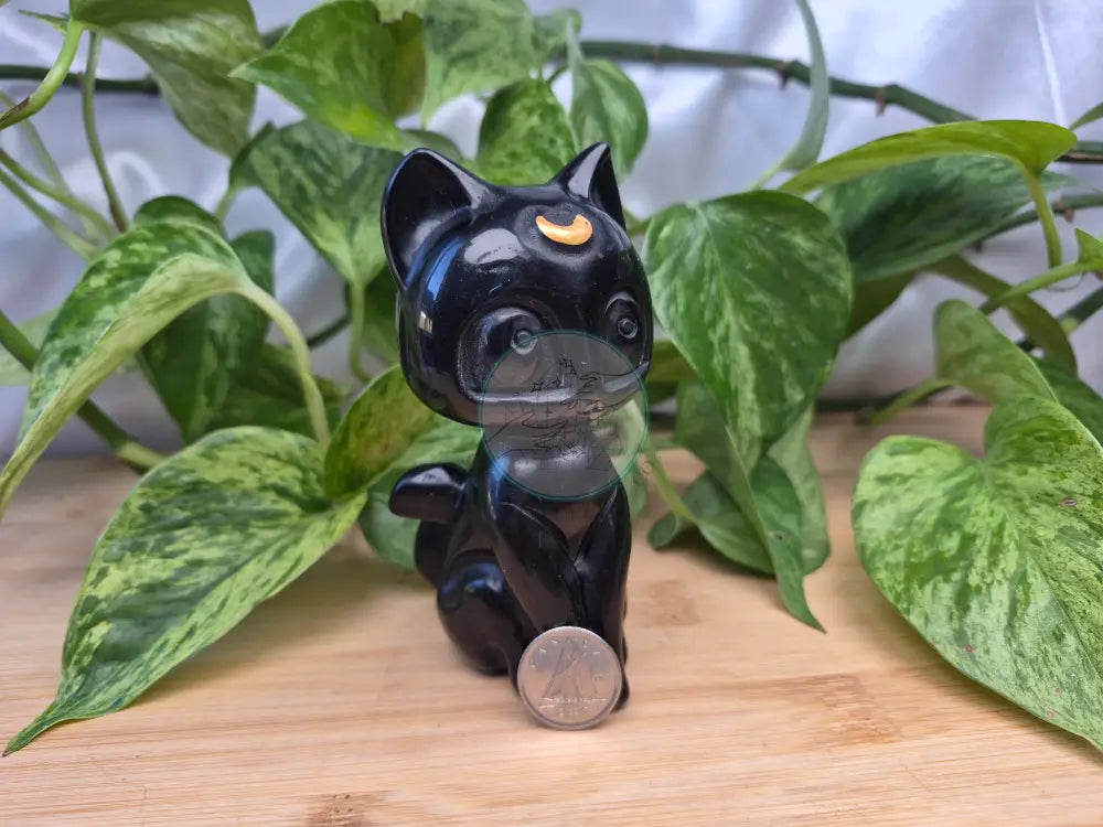 OBSIDIAN LUNA CAT