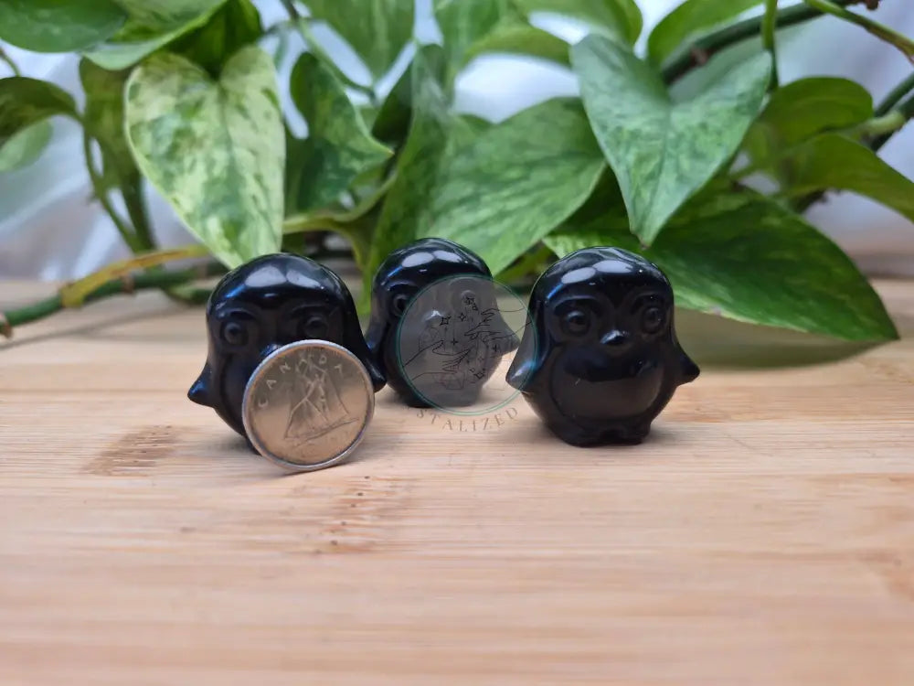 OBSIDIAN PENGUIN