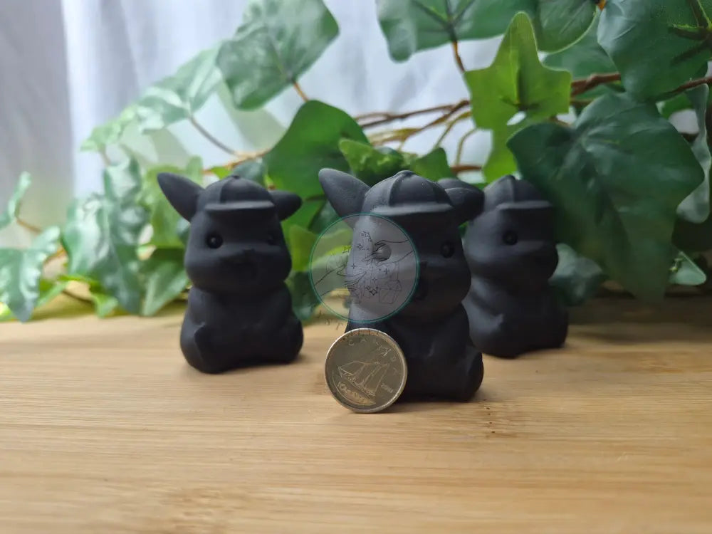 OBSIDIAN PIKACHU WITH HAT