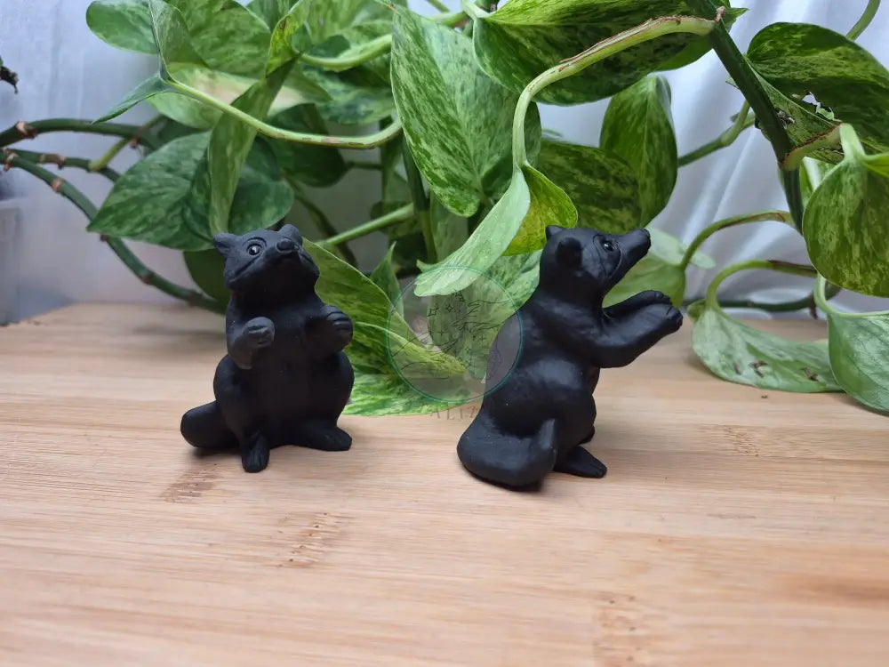 OBSIDIAN RACCOON