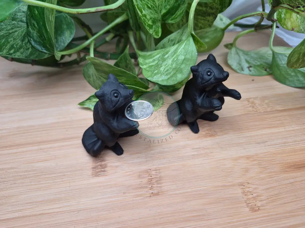 OBSIDIAN RACCOON
