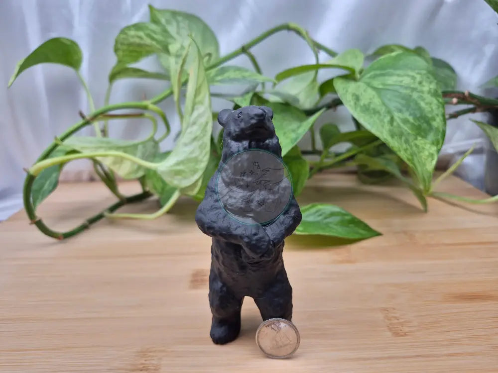OBSIDIAN STANDING BEAR