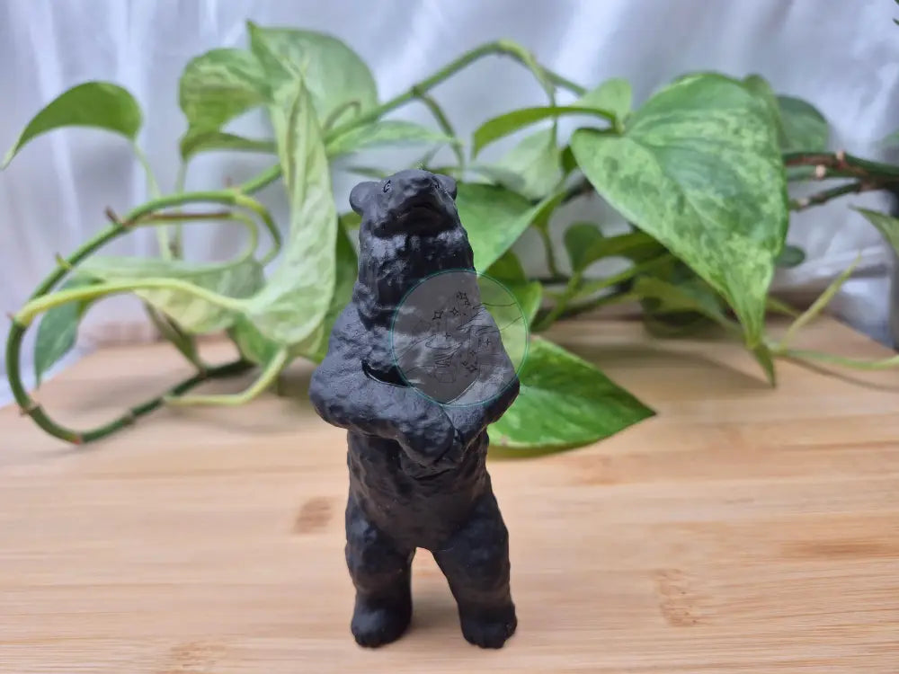 OBSIDIAN STANDING BEAR