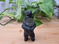 OBSIDIAN STANDING BEAR