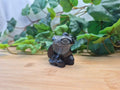 OBSIDIAN TOOTHLESS