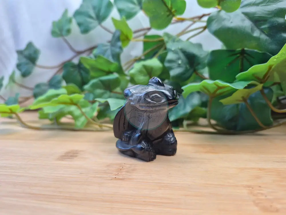 OBSIDIAN TOOTHLESS
