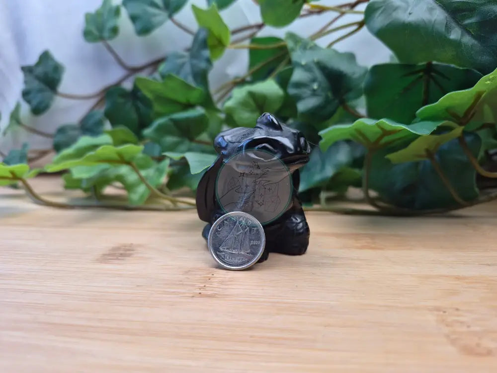 OBSIDIAN TOOTHLESS