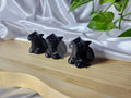 OBSIDIAN TOOTHLESS - CARVING