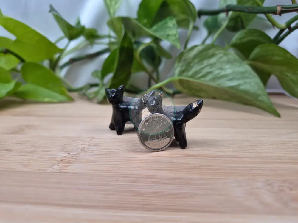 OBSIDIAN UMBREON STANDING