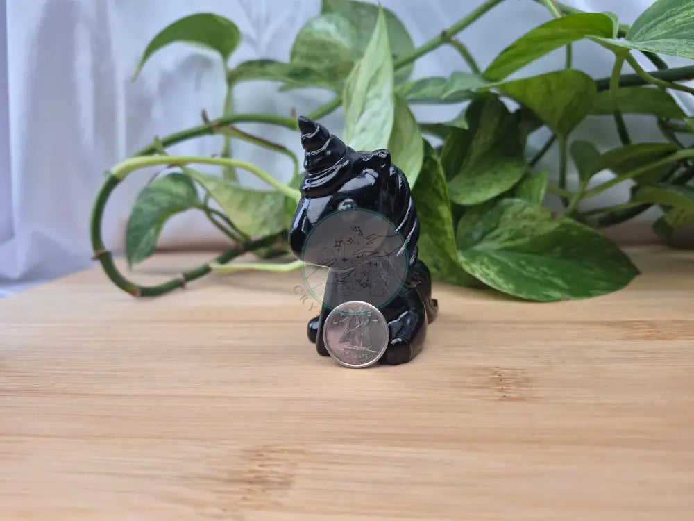 OBSIDIAN UNICORN