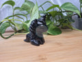 OBSIDIAN UNICORN