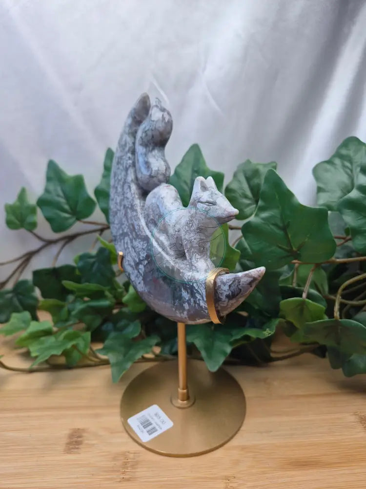 OCEAN JASPER FOX IN MOON