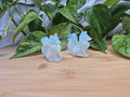 OPALITE FOX